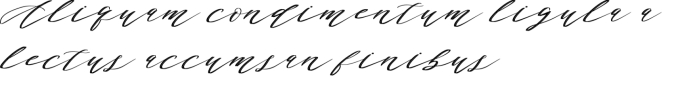 Authumn Sofia Font Preview