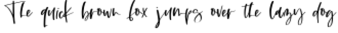 Duchess Signature Script Font Font Preview