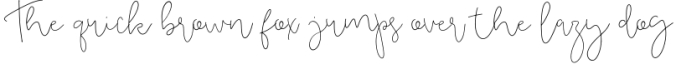 Danyla Stylish Signature Font Font Preview