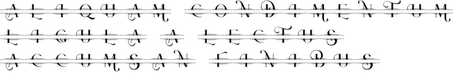 Welington Monogram Font Preview