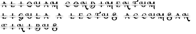 Aqueela Monogram Font Preview