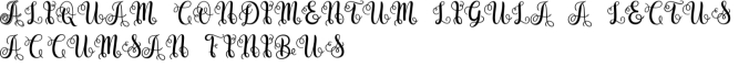 Swirly Letters Font Preview