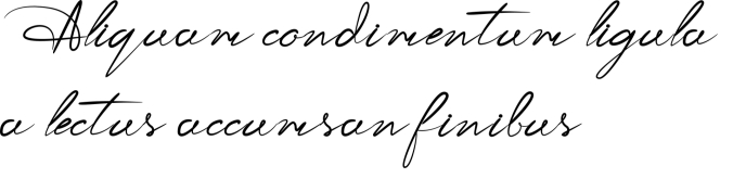 Special Romantica Font Preview