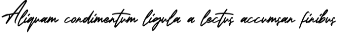 Georgiess Signature Font Preview