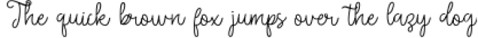 Miss Naila- Lovely Modern Calligraphy Font Preview