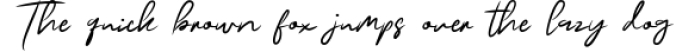 Buffalo Signature - Modern Signature Font Preview