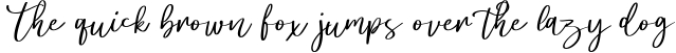 Stobils - Script Font Font Preview