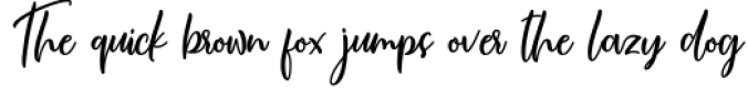 Bloush Smots Script | Modern Calligraphy Font Preview