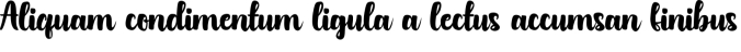 Austhatic Script Font Preview