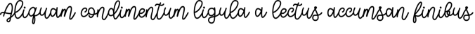 Delly Font Preview