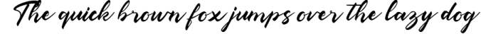 Qasshim - Elegant Script Typeface Font Preview