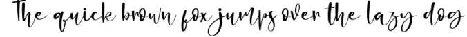 Alligattory Handwritten Script Font Preview