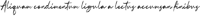 Ocean Dream Font Preview