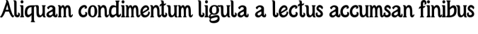Serif Font Preview