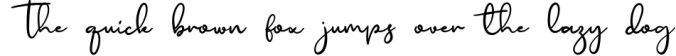 Prinzella Beautiful Calligraphy Font Font Preview
