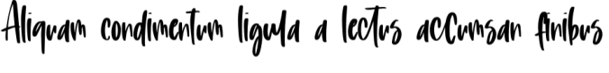 Playful Delight Font Preview