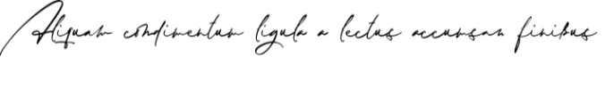 Monarchy Signature Font Preview