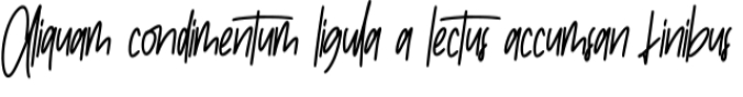 Epstein Font Preview