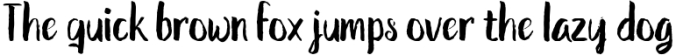 The Shutterain - A Modern Handwritten Font Font Preview
