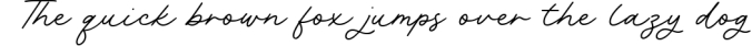 Rachel Bowie Modern Monoline Handwritten Font Font Preview