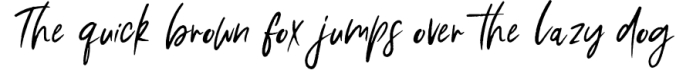 Artemis  A Hand-Lettered Brush Script Font Preview