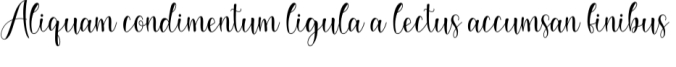 Shadella Font Preview