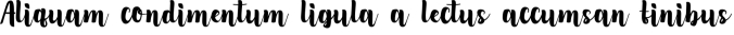 Silvia Aurelly Font Preview