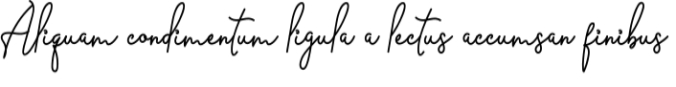 Barier Signature Font Preview