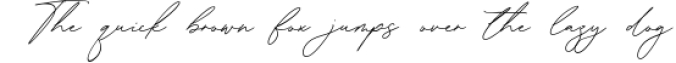 Antonio Fischer Signature Monoline Calligraphy Font Font Preview