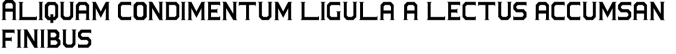 Hillton and Absolute Font Preview