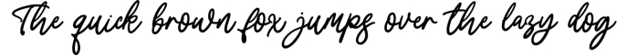 Shymptany - A Beautiful Script Font Font Preview