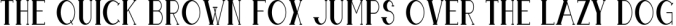Boldatin Font Family Font Preview
