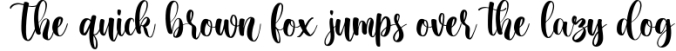 Miracle Day - Modern Calligraphy Font Font Preview