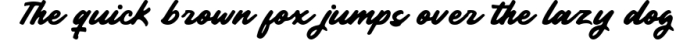 Garnite - Handwritten Script Font Preview