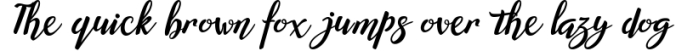 Willynta Script Font Preview