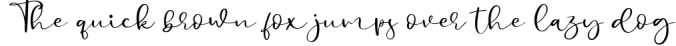 Billystory a Chic Handwritten Script Font Font Preview