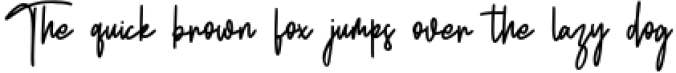 Rhodes Modern Script Signature Font Font Preview