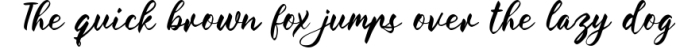 The Florist Handwriting - A Handwritten Font Font Preview