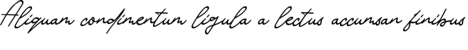 Kimberly Signature Font Preview