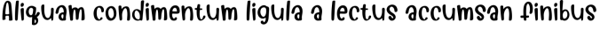 Holly Grace Font Preview