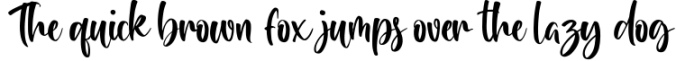 Stay Girly a Beauty Script Font Font Preview