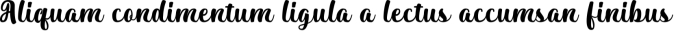 Pilopy Font Preview