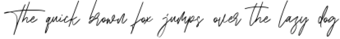 Asterica Signature Script Font Font Preview