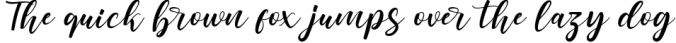 dear love | a romantic script font Font Preview