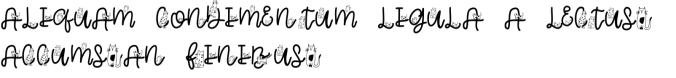 Cat Typography Font Preview