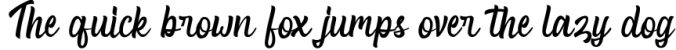 Rocky Run Bold Script font Font Preview
