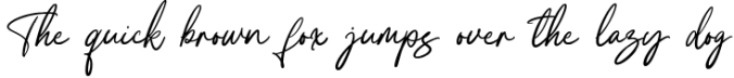 Shiny Hearts - A Beauty Script Font Font Preview