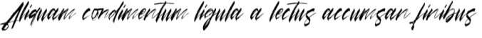 Arsitage Brush Font Preview
