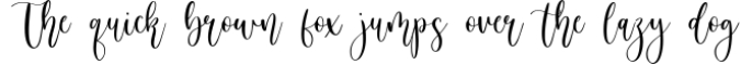 Birdside Lovely Modern Handwritten Font Font Preview