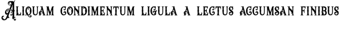 Buonapati Font Preview